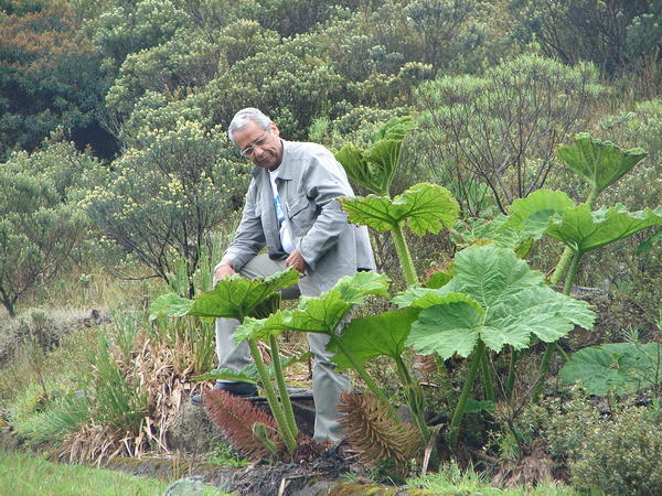 Florianópolis, Brasil 2008