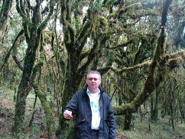 Florianópolis, Brasil 2008